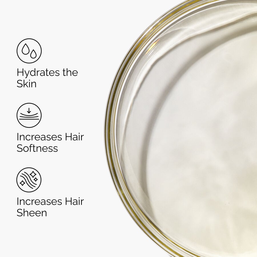100-organic-cold-pressed-moroccan-argan-oil-o0 FY25-D41247-ORD-Web-PDP-100-Argan-Oil-1x1-EN-3.jpg