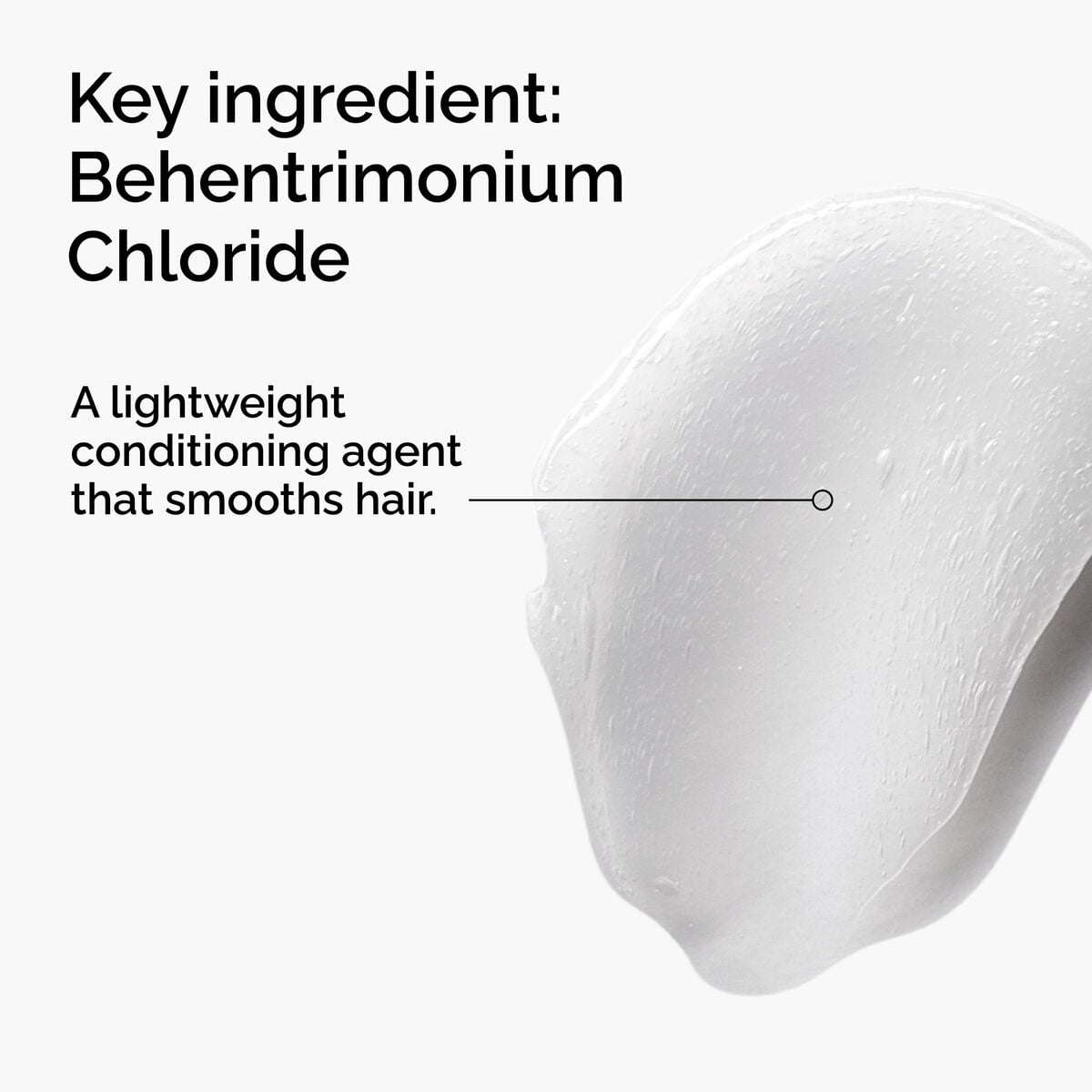 behentrimonium-chloride-2-conditioner-w6 FY25-D41247-ORD-Web-PDP-BTC-1x1-EN-2a.jpg