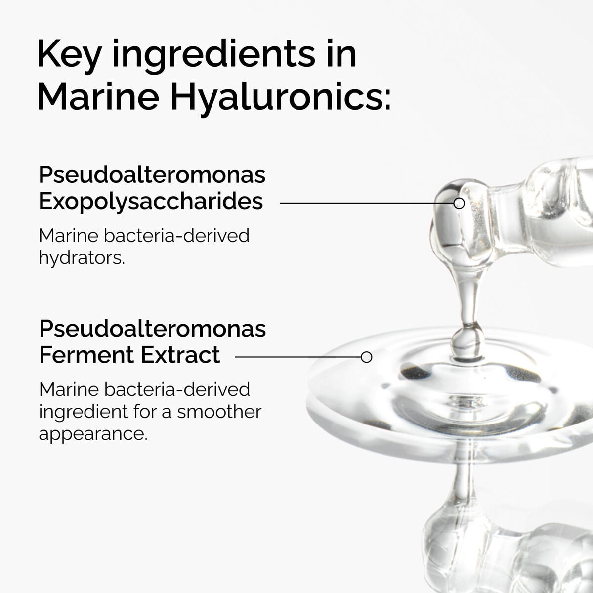 marine-hyaluronics-p8 FY25-D41247-ORD-Web-PDP-Marine-Hya-1x1-EN-2a.jpg