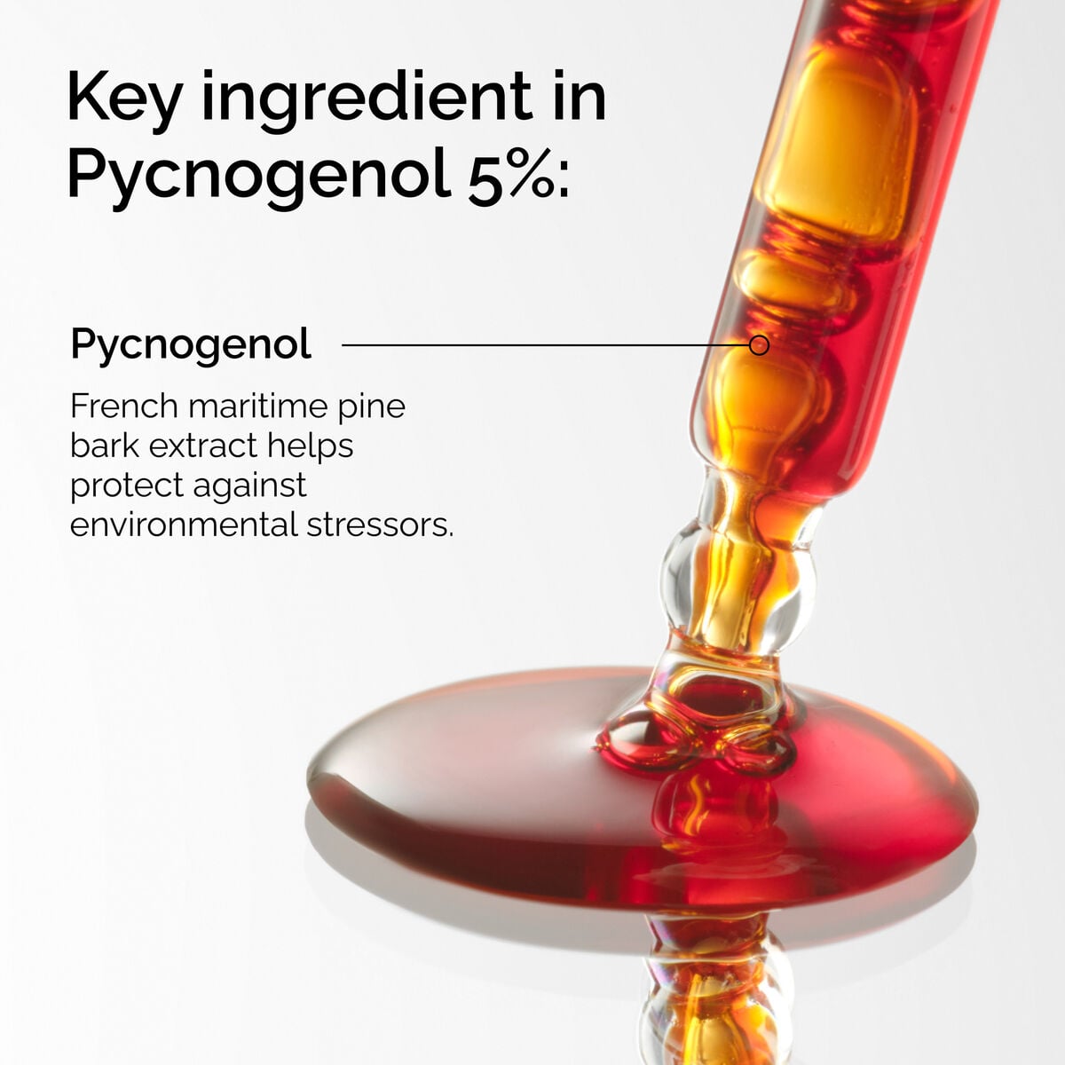 pycnogenol-5-m6 FY25-D41247-ORD-Web-PDP-Pyc-5pct-1x1-EN-2a.jpg