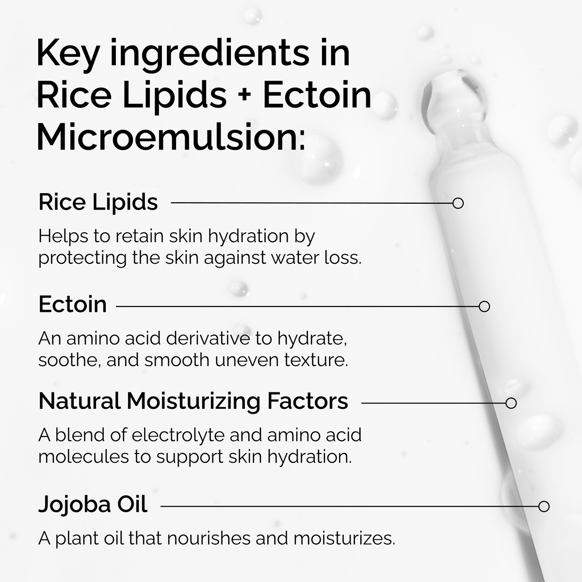 rice-lipids-ectoin-microemulsion-c9 ord-rice-lipids-ectoin-microemulsion-key-ingredients.png