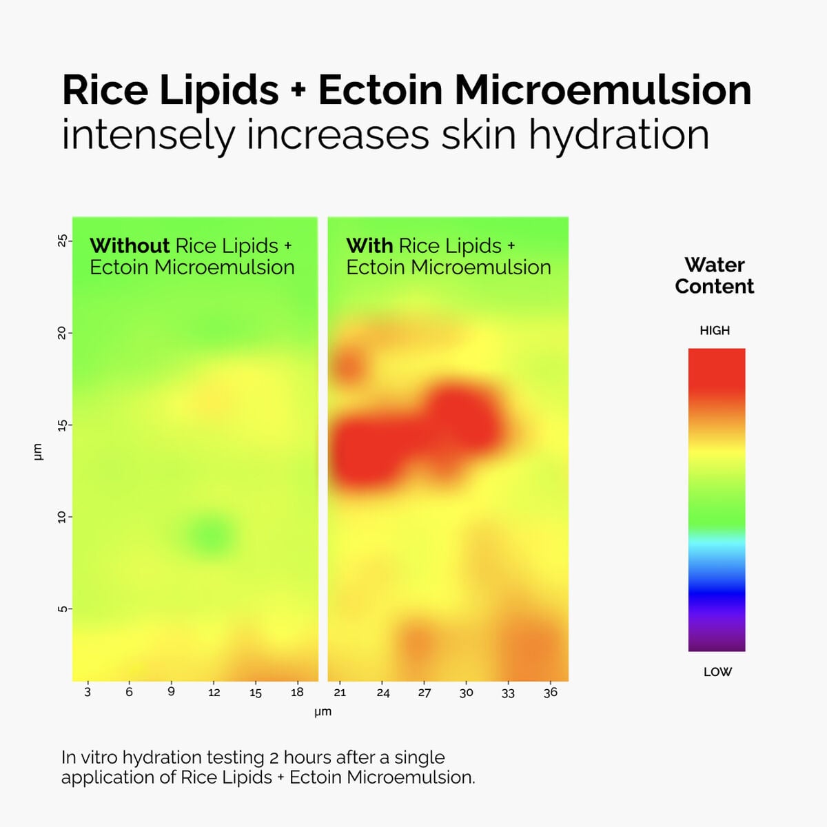 rice-lipids-ectoin-microemulsion-c9 ord-rice-lipids-ectoin-microemulsion-thermal-before-after.jpg